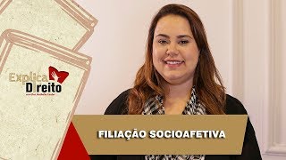 Explica Direito Filiação Socioafetiva  2019 [upl. by Bodwell]